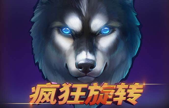 k体育官网入口登录